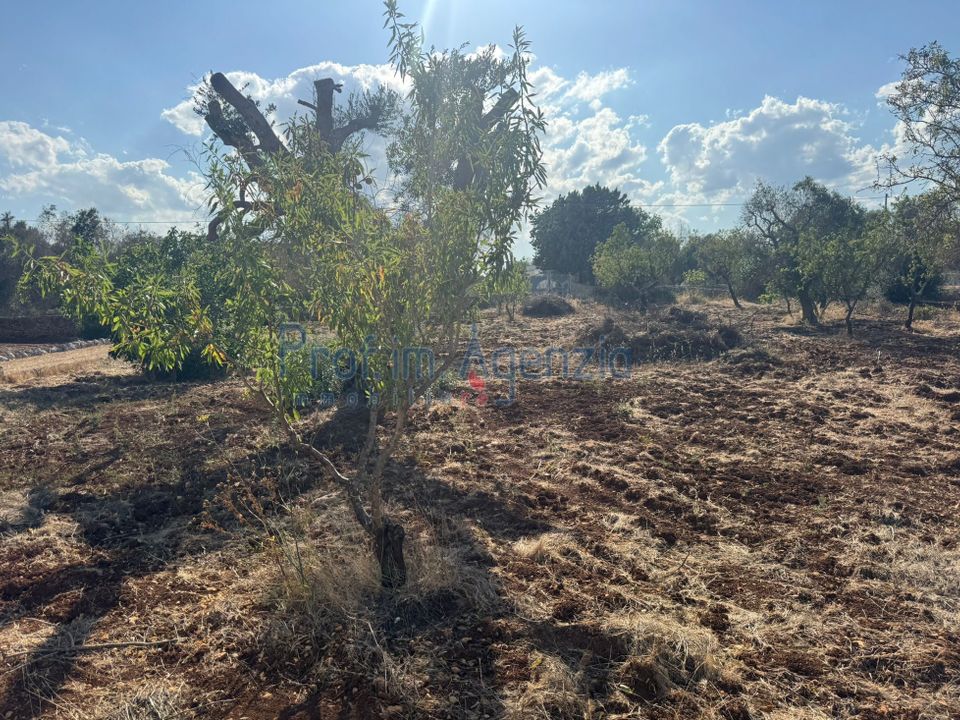 Helårsgrund i San Vito dei Normanni, Brindisi - foto 4